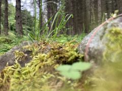 -硗碛藏寨·神木垒景区