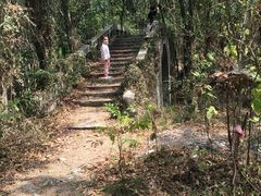 -青龙山国家森林公园