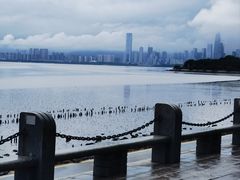 -深圳湾公园(南山区)