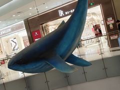 -凯德广场(学府店)