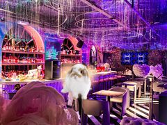 -Darling Queen·Mini·Live·House