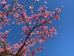 -风云岭森林公园