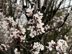 -梁鸿国家湿地公园