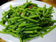 -光头强美食