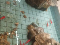 -良友·海鲜青岛菜(五四广场店)