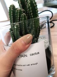 -潮店·溯美日式轻奢美睫馆