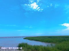 -南汇嘴观海公园