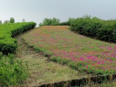 -梁鸿国家湿地公园