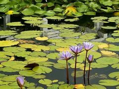 -国家植物园南园