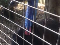 -费瑟代尔野生动物园