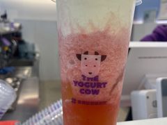 -一只酸奶牛(春熙路店)