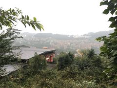 -老幺泉水鸡
