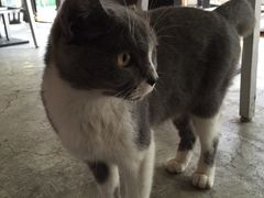 -MIKAKU(万达广场上海宝山店)