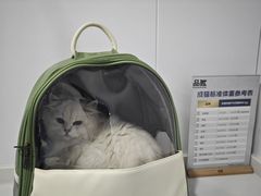 -天使宠物医院·犬猫分诊(彩虹店)