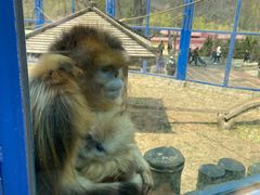 -大连森林动物园