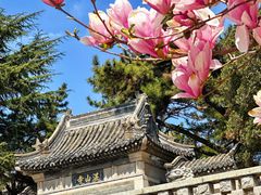 -湛山寺