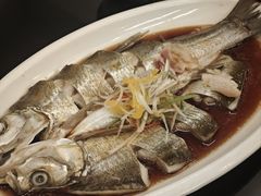 -西塘人家•黑金冠本地好店