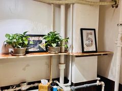 -蜗牛小馆醉乡民谣云南菜(惠新西里店)