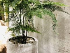 -桃园眷村(万象天地店)