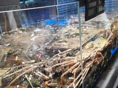 -徐记海鲜·宴会(大唐西市|丰庆店)
