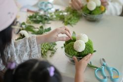 -蜜悦居月子中心(国金中心店)