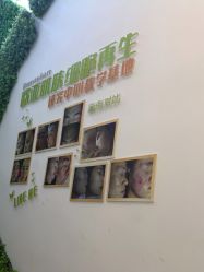 -莱可美科技美肤