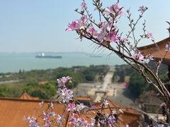 -南沙天后宫景区