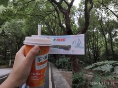-东湖落雁景区
