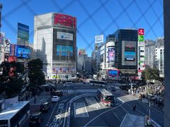 -涩谷全向十字路口