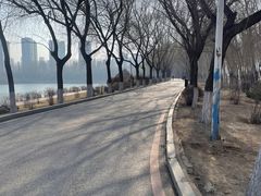 -丁香湖公园