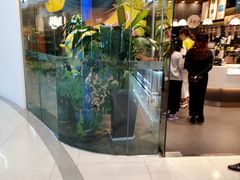 -茶颜悦色(银盆岭万达广场店)