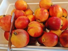 -蒙都43°9羊火锅·赤峰美食(宁城店)