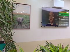 -美联众合动物医院·24h转诊中心