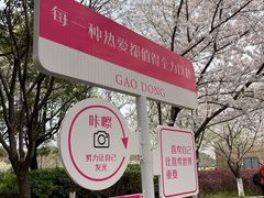 -高东镇樱花园