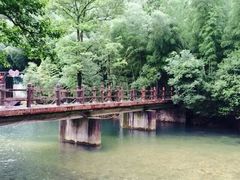 -祁门牯牛降观音堂风景区