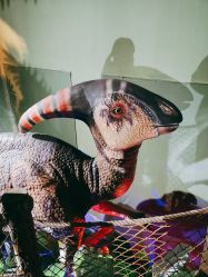 -恐龙探索乐园(磁器口店)