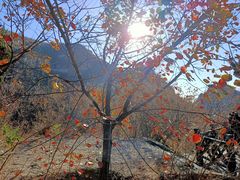 -狼牙山风景区