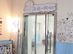 -汪说·狗咖·拼豆·宠物周边DIY(旺城大厦店)