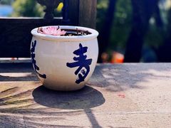-超山青莲寺