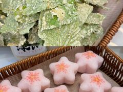 -紫藤园·天目湖大鱼头(南山竹海店)