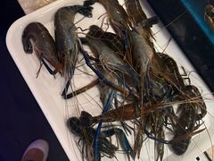 -奔海甄选·活鲜刺身铁板烧自助(太原里店)