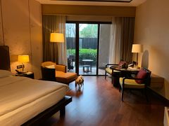 -上海崇明金茂凯悦酒店