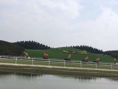 -迪茵湖田家舍生态农场