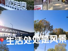 -武昌江滩