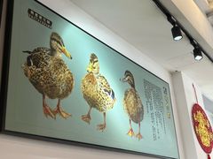 -姐妹鸭仔饭店(湾南路店)