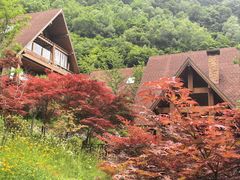 -古尔沟华美达温泉度假酒店