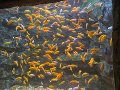 -多彩贵州城极地海洋世界