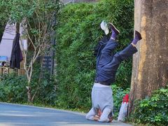 -四海公园(南山区)
