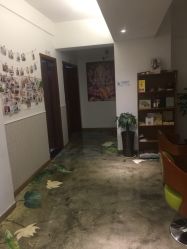-馨媛瑜伽普拉提