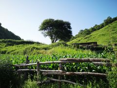 -关山草原